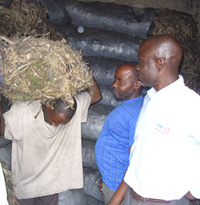 la vente de makala dans un depot à Goma